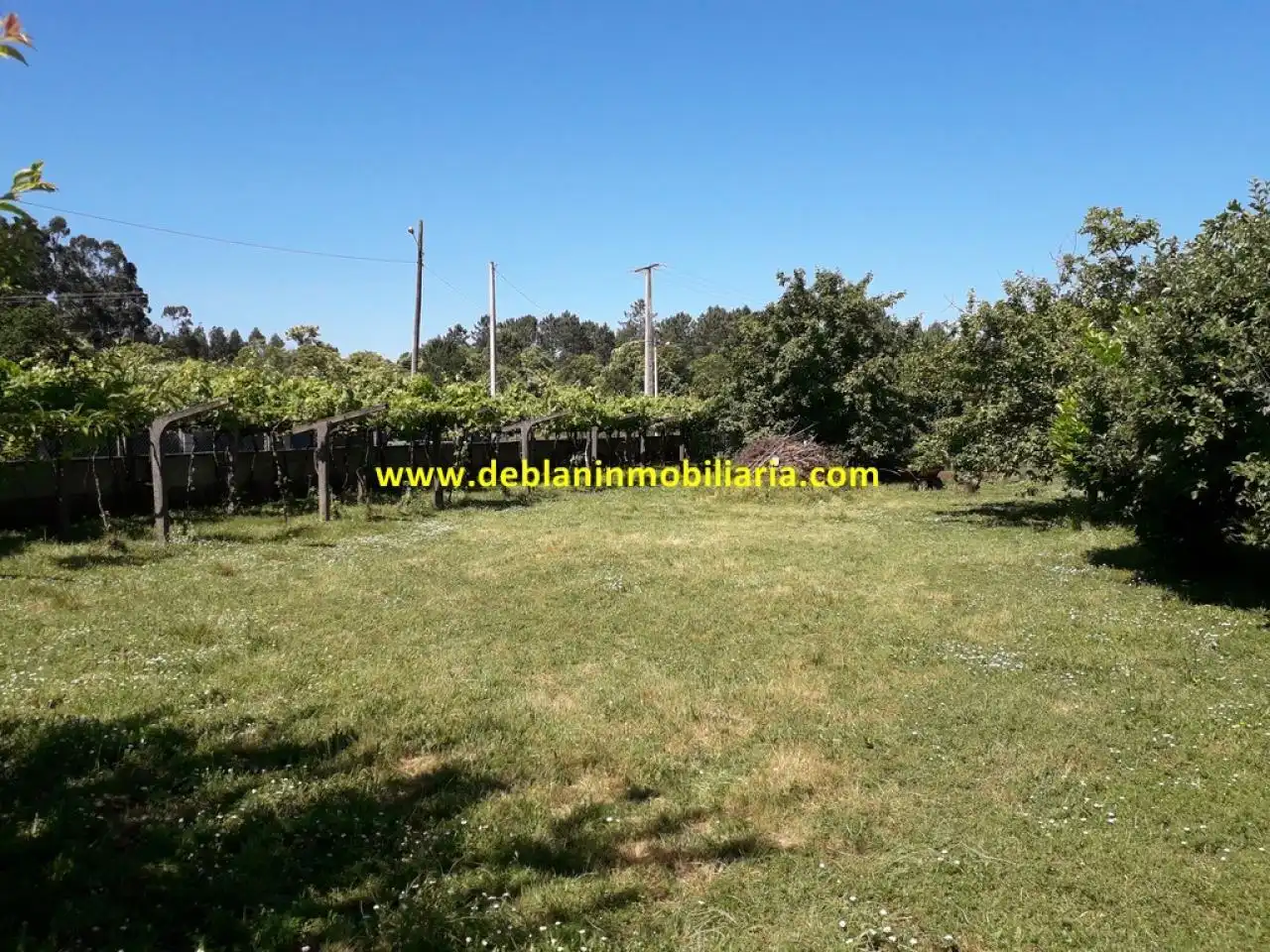 Terreno rustico in vendita a Tomiño, imagen 4