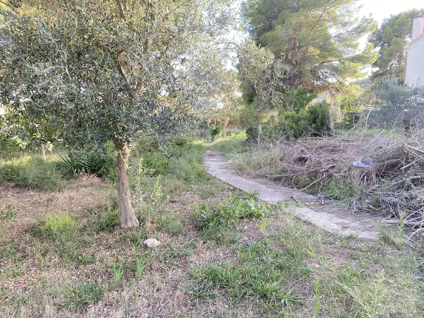 Wohnbaugrundstück zum Verkauf in Els Masos - Els Garrofers, imagen 11