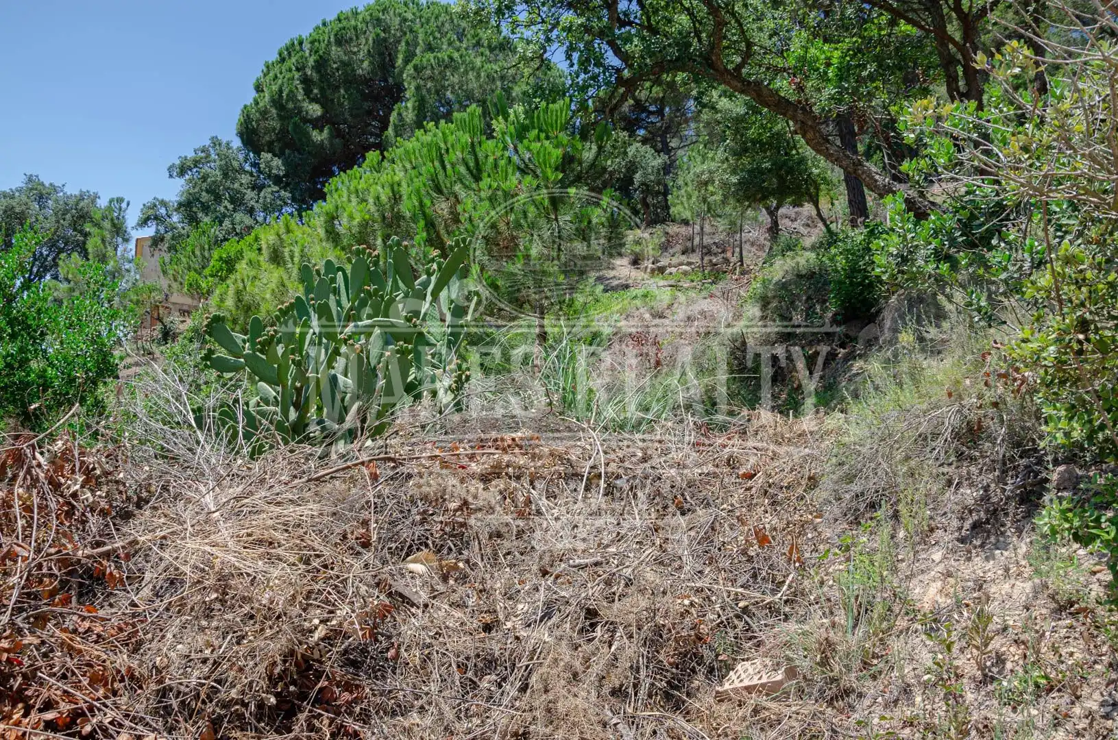 Grundstücke und Bauplätze zum Verkauf in Serra Brava, imagen 5
