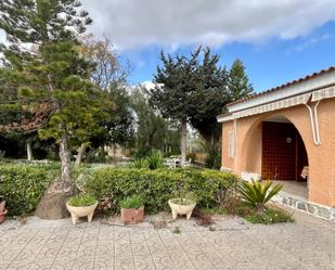 Garden of House or chalet for sale in Elche / Elx  with Private garden, Storage room and Swimming Pool