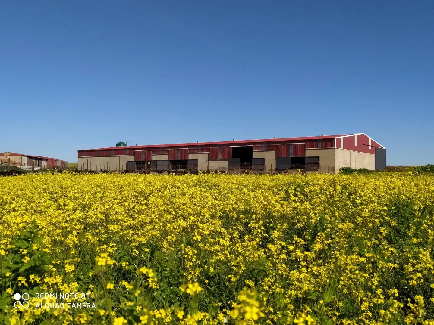 Casa en venta en Brozas, imagen 17
