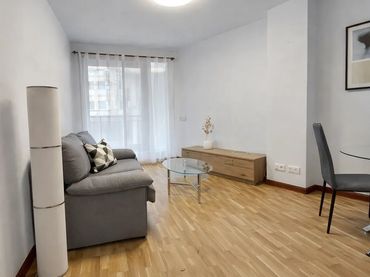 Apartment with lift to rent in Echavacóiz