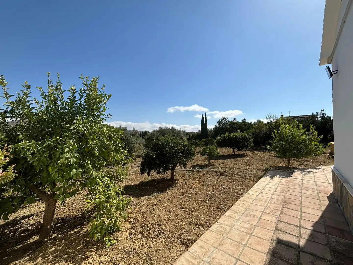 Casa rústica amb piscina en venda a Camino de Los Javieles, imagen 24