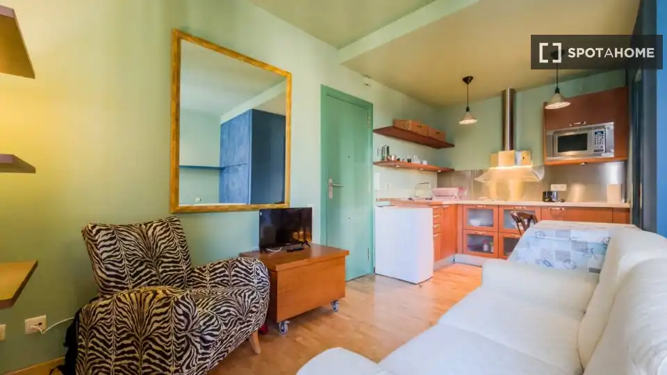 Sala d'estar de Estudi per a compartir en Barcelona amb Aire condicionat, Calefacció i Terrassa
