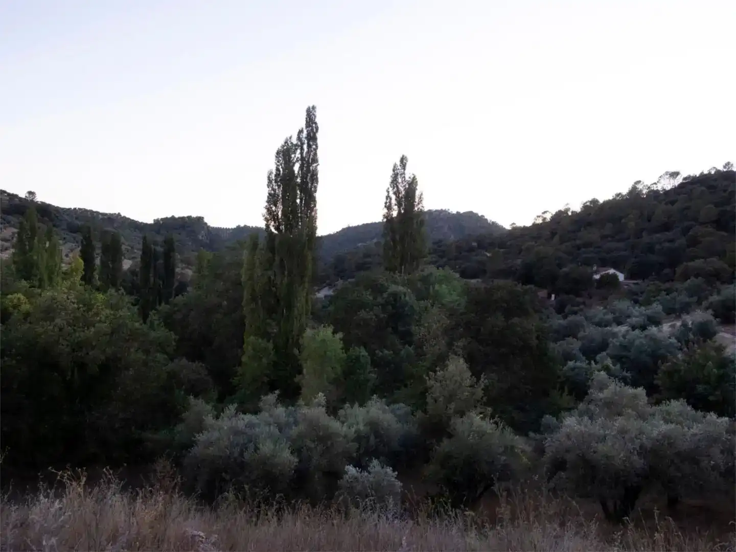 Casa o chalet en venta en Santo Tomé