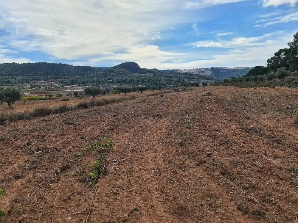 Terreno residencial en venta en El Pinós / Pinoso, imagen 2