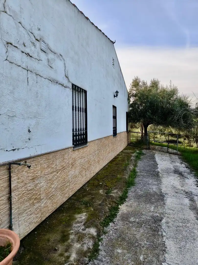 Vista exterior de Finca rústica en venta en Peñarroya-Pueblonuevo con Jardín privado, Trastero y Piscina