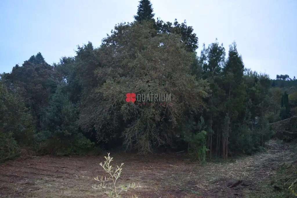 Casa o chalet en venta en Santiago de Compostela  con Jardín privado