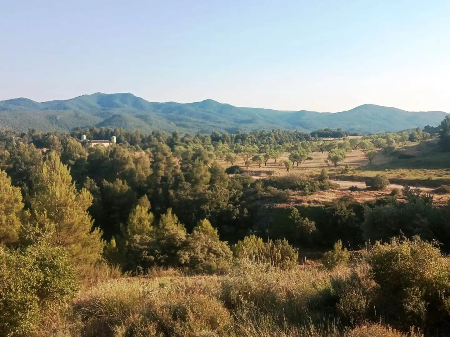 Terreni e lotti in vendita a Monroyo, imagen 5