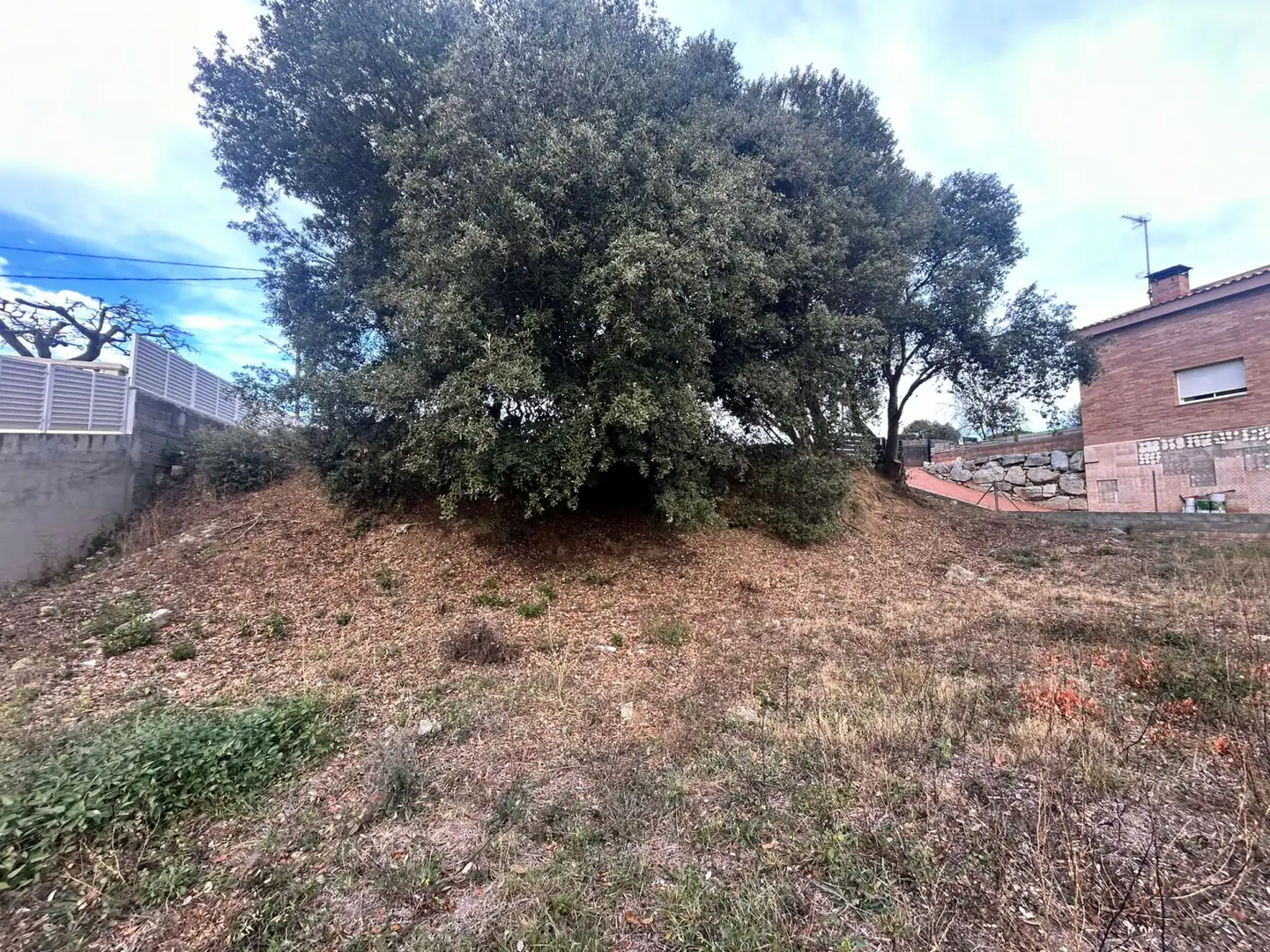 Terrain rustique à vendre à Dosrius - CL CAN DOMINGO, imagen 33