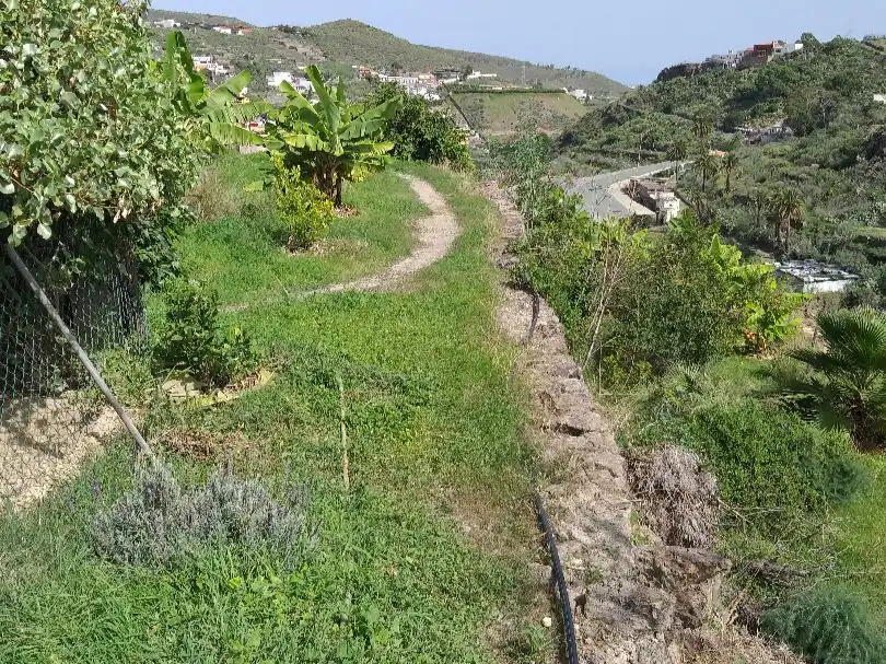 Casa o xalet en venda en Telde amb Terrassa
