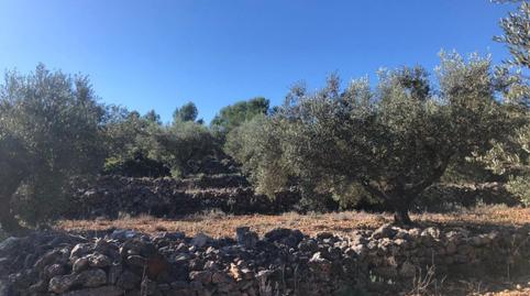 Photo 2 of House or chalet for sale in Polígono Polígono 16 Parcela 8, Chella, Valencia