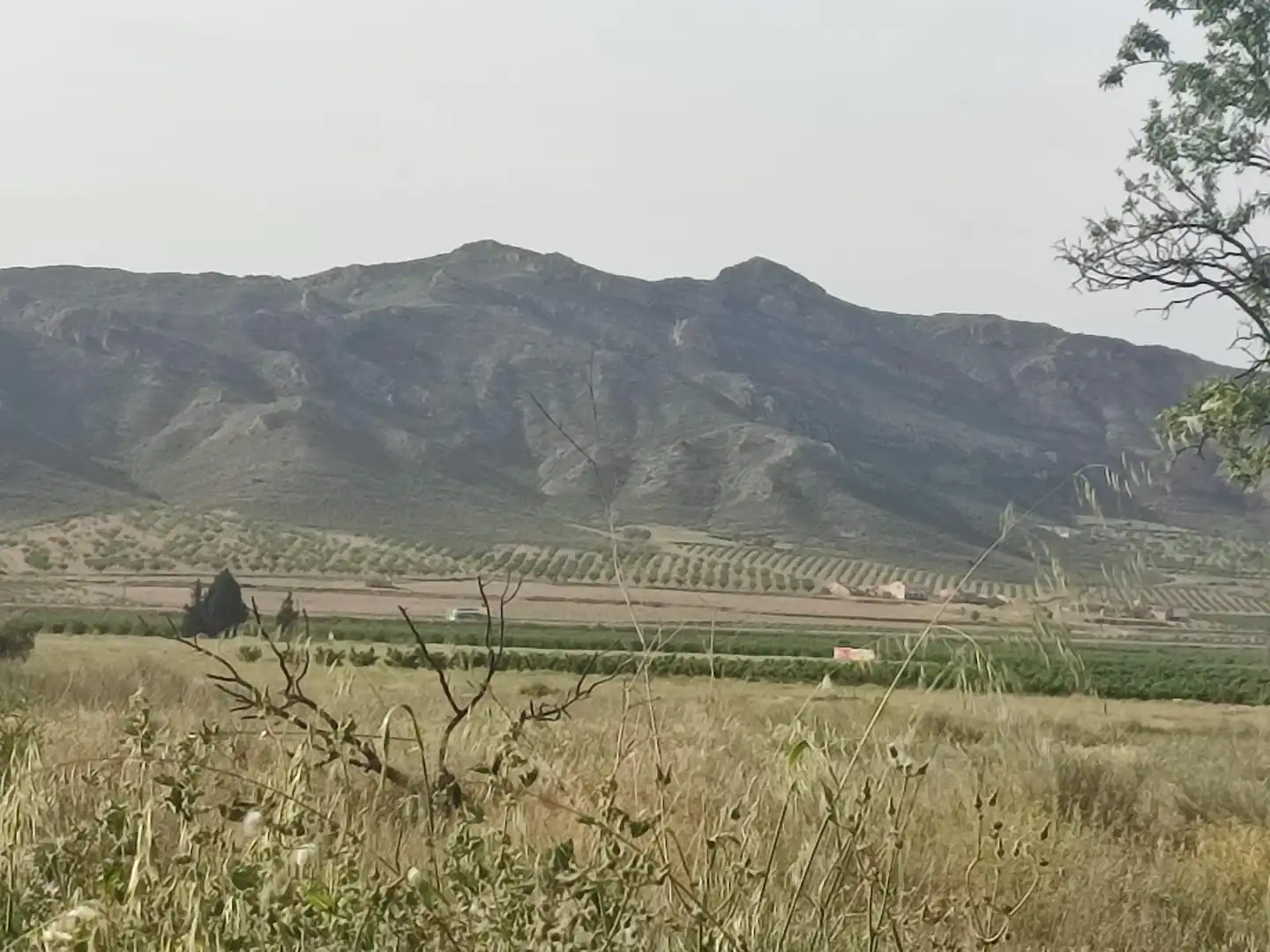 Casa rústica amb jardí en venda a Jumilla, imagen 19