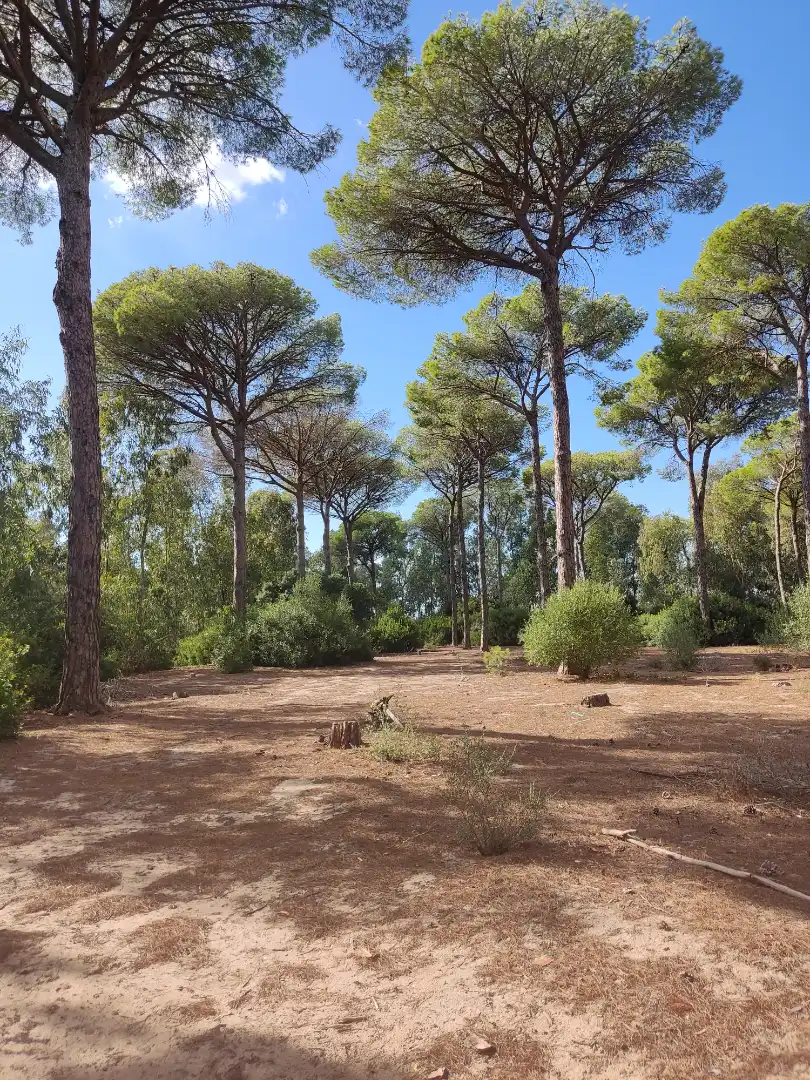 Terreni e lotti in vendita a Las Lagunas - Campano, imagen 12