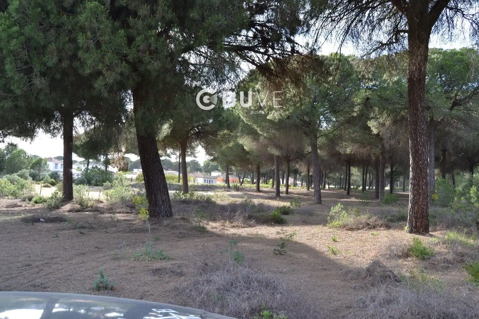 Terreni e lotti in vendita a Hinojos, imagen 10
