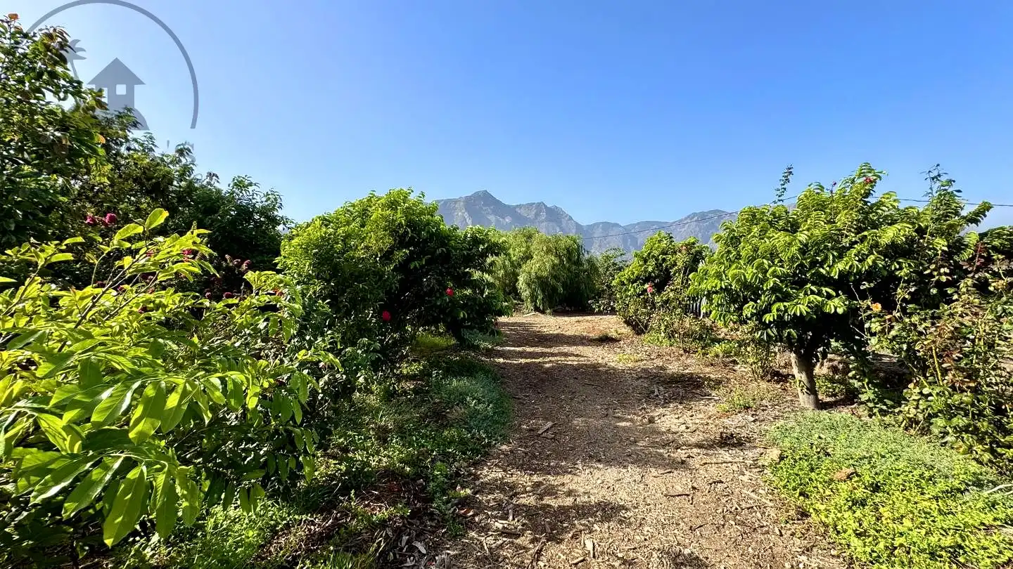 Vista exterior de Finca rústica en venda en Buenavista del Norte amb Jardí privat i Terrassa