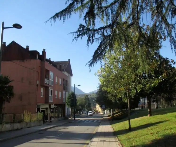 Terreno residencial en venta en San Claudio - Trubia - Las Caldas, imagen 3