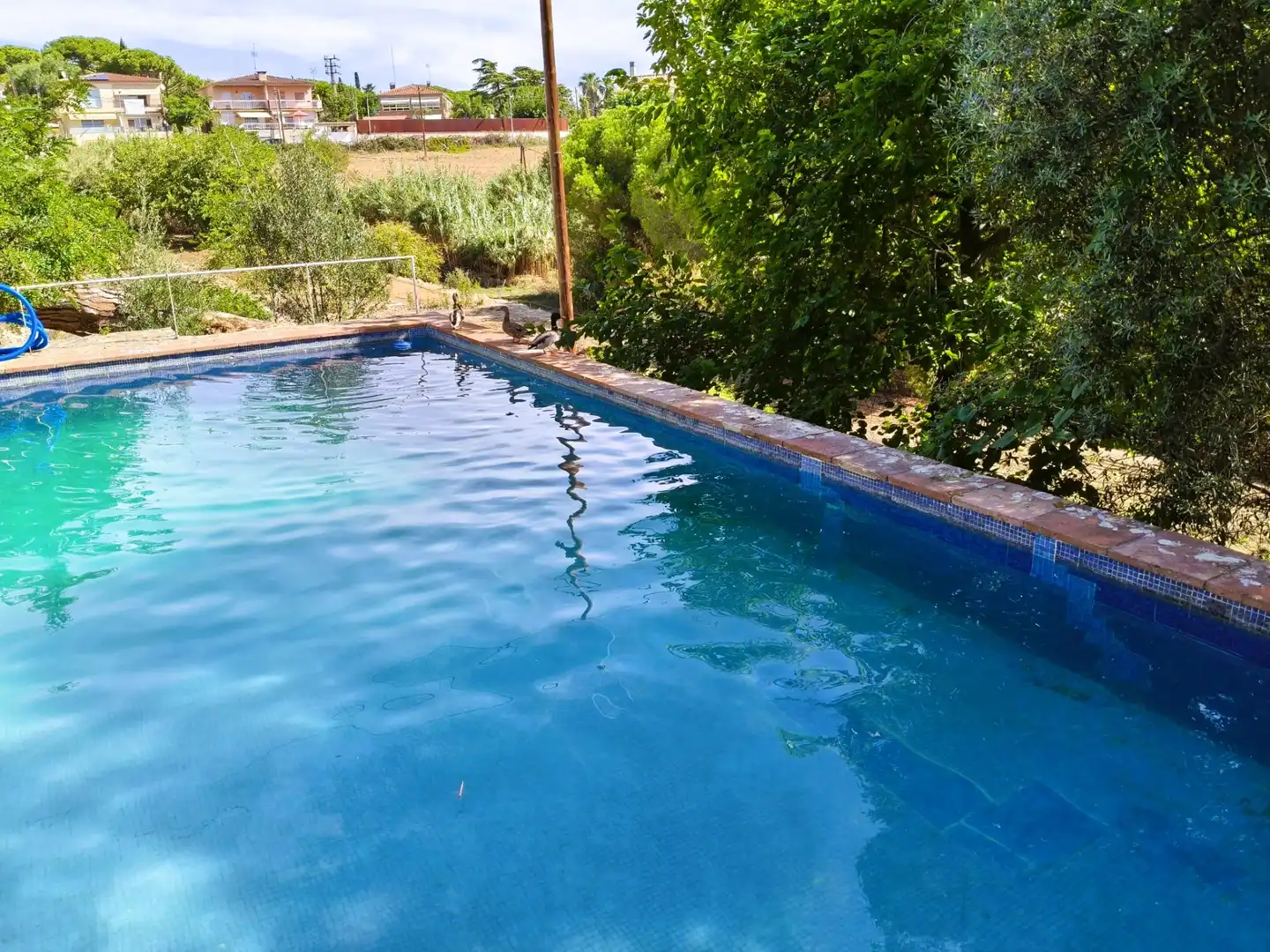 Detached house with pool for sale in Carrer Can Soberano, imagen 4