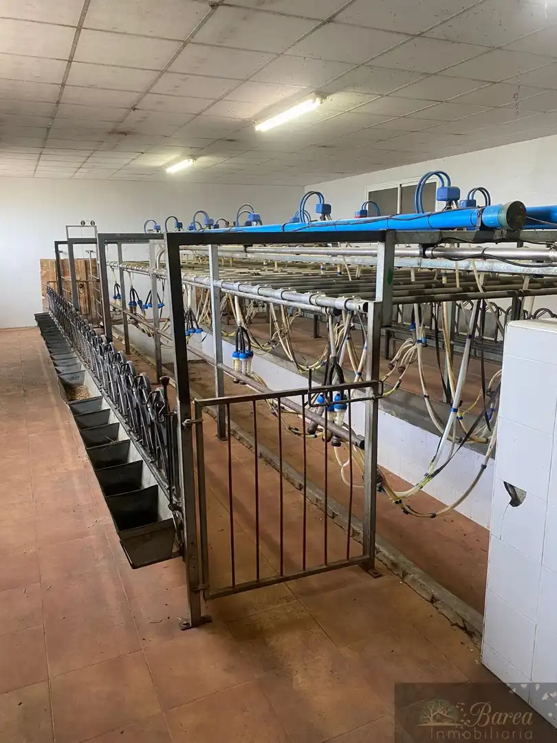Nave industrial en venta en Rute