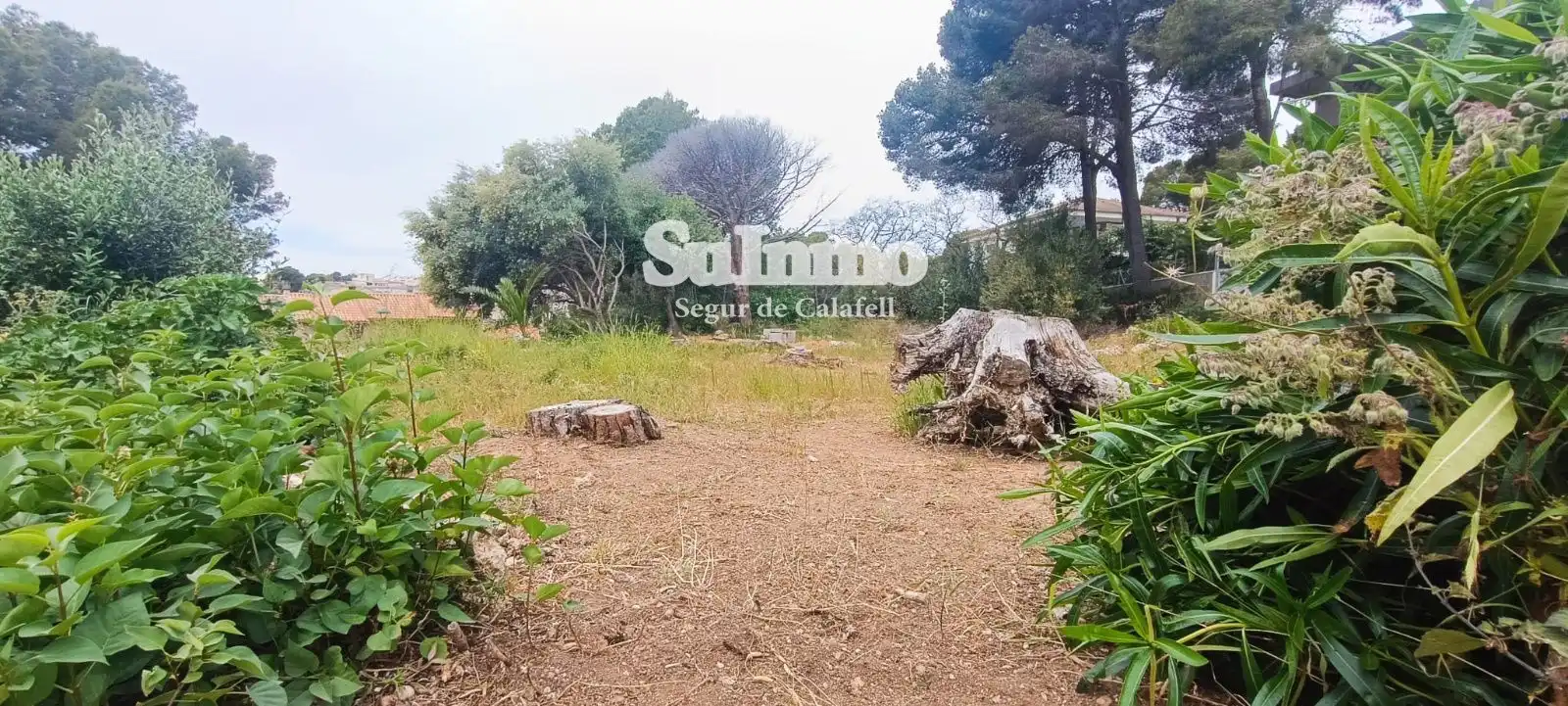 Rural land for sale in SAL