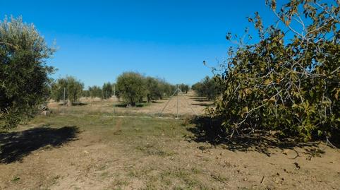Foto 4 de Casa o xalet en venda a La Haba , Badajoz