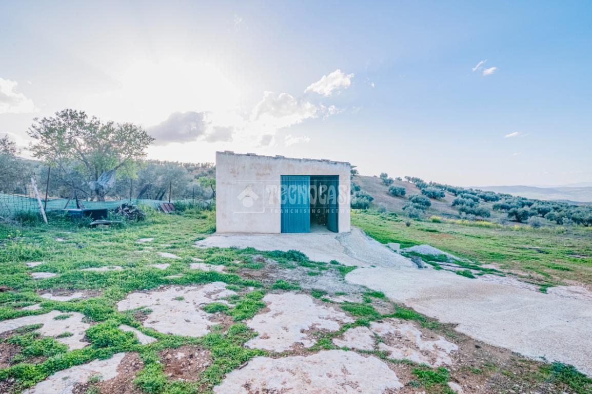 Grundstücke zum Verkauf in Salar