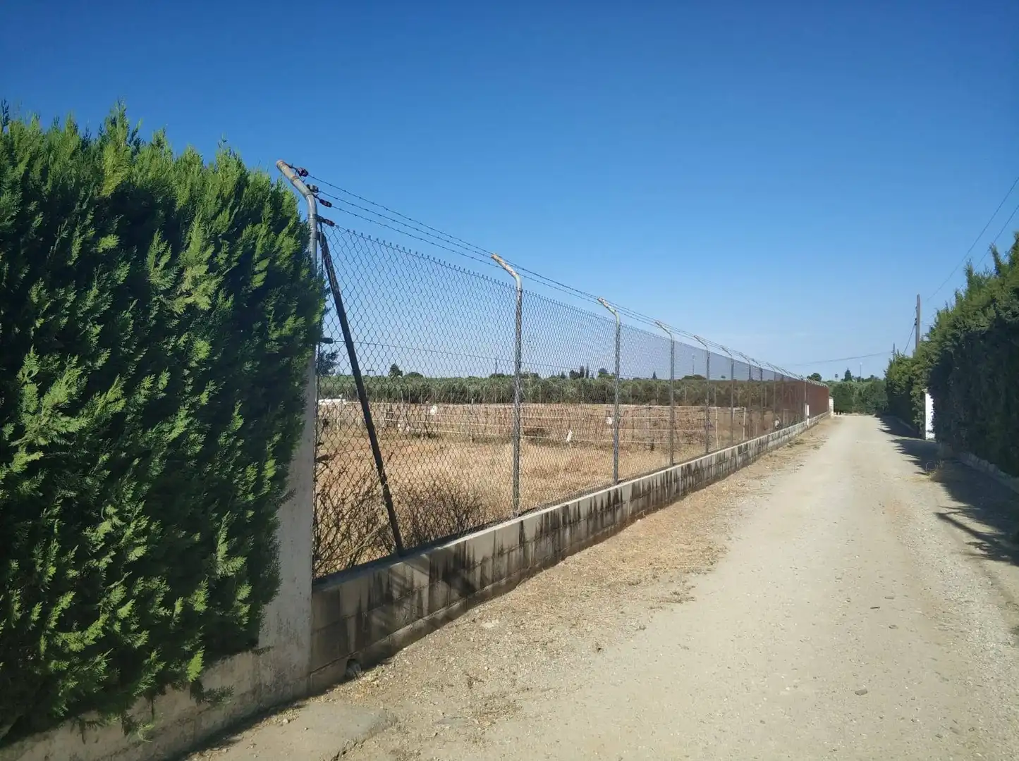 Terreny residencial en venda a Loreto, imagen 5