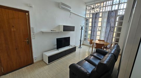 Foto 4 de Estudi de lloguer a Carrer de Sant Francesc, Campello Playa, El Campello