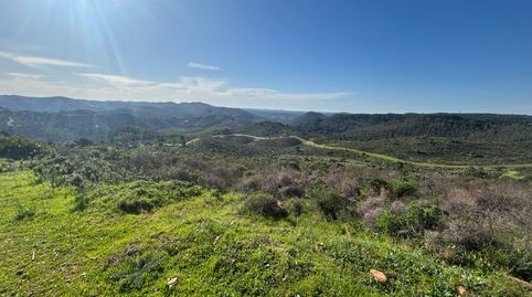 Photo 3 of Land for sale in Calle Don Jose Troyano, Calañas, Huelva