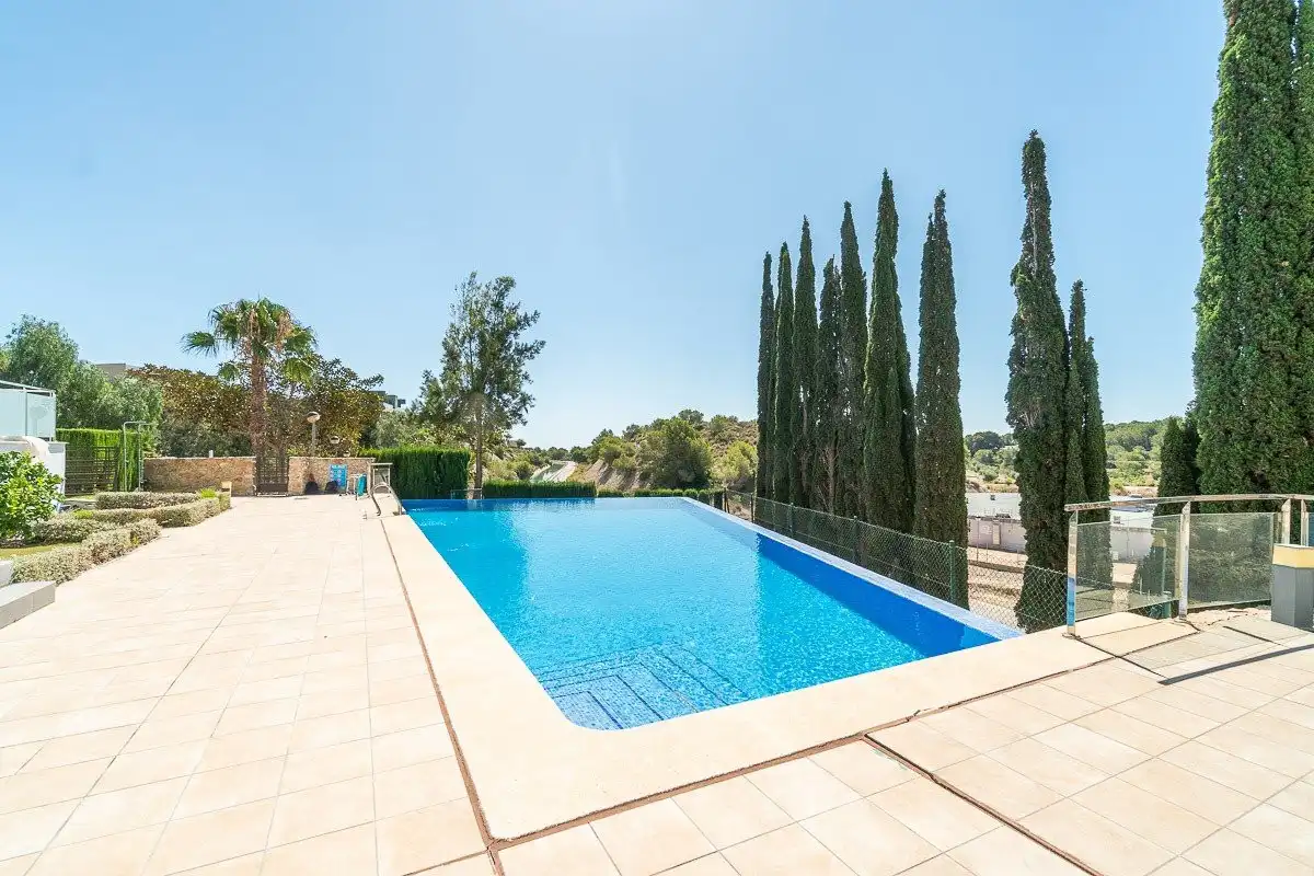 Swimming pool of Attic for sale in Orihuela  with Terrace, Storage room and Furnished