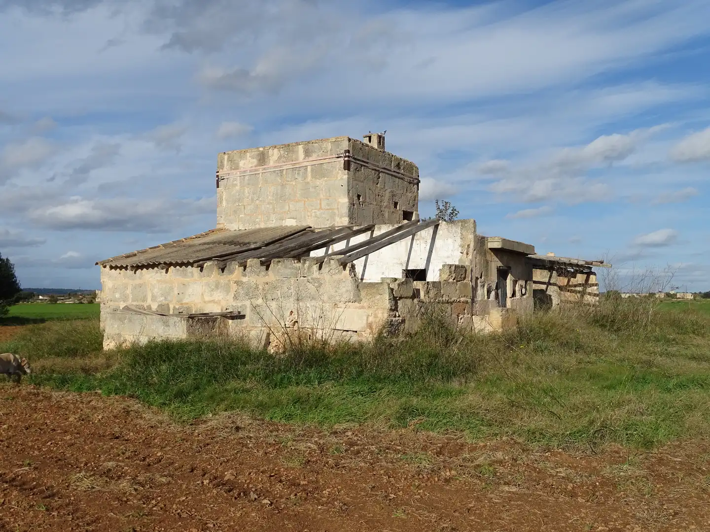 Terreno rustico in vendita a Santanyí Poble, imagen 2