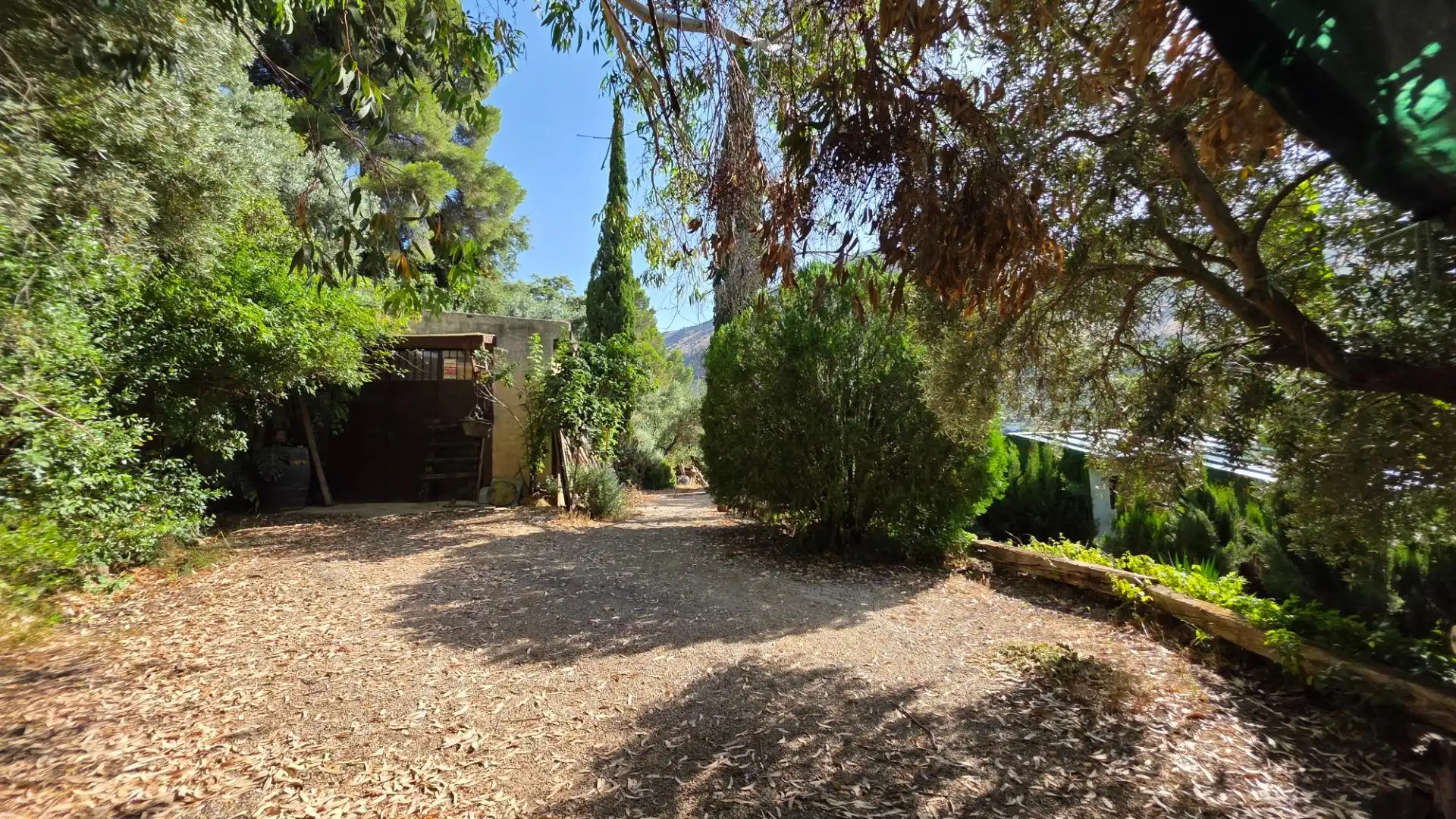 Jardí de Finca rústica en venda en Jaén amb Calefacció, Jardí privat i Terrassa