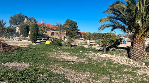 Photo 4 of Land for sale in C-11, 11, Zarzadilla de Totana, Lorca