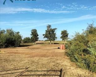 Residencial en venda a Isla Cristina Ciudad