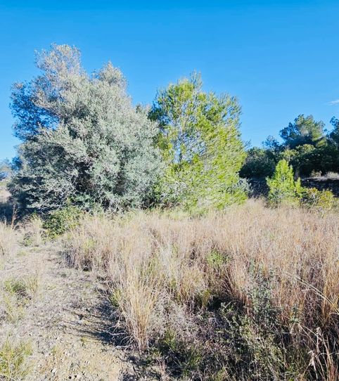 Foto 2 de Terreno en venta en Partides comunes - Adsubia, Jávea / Xàbia
