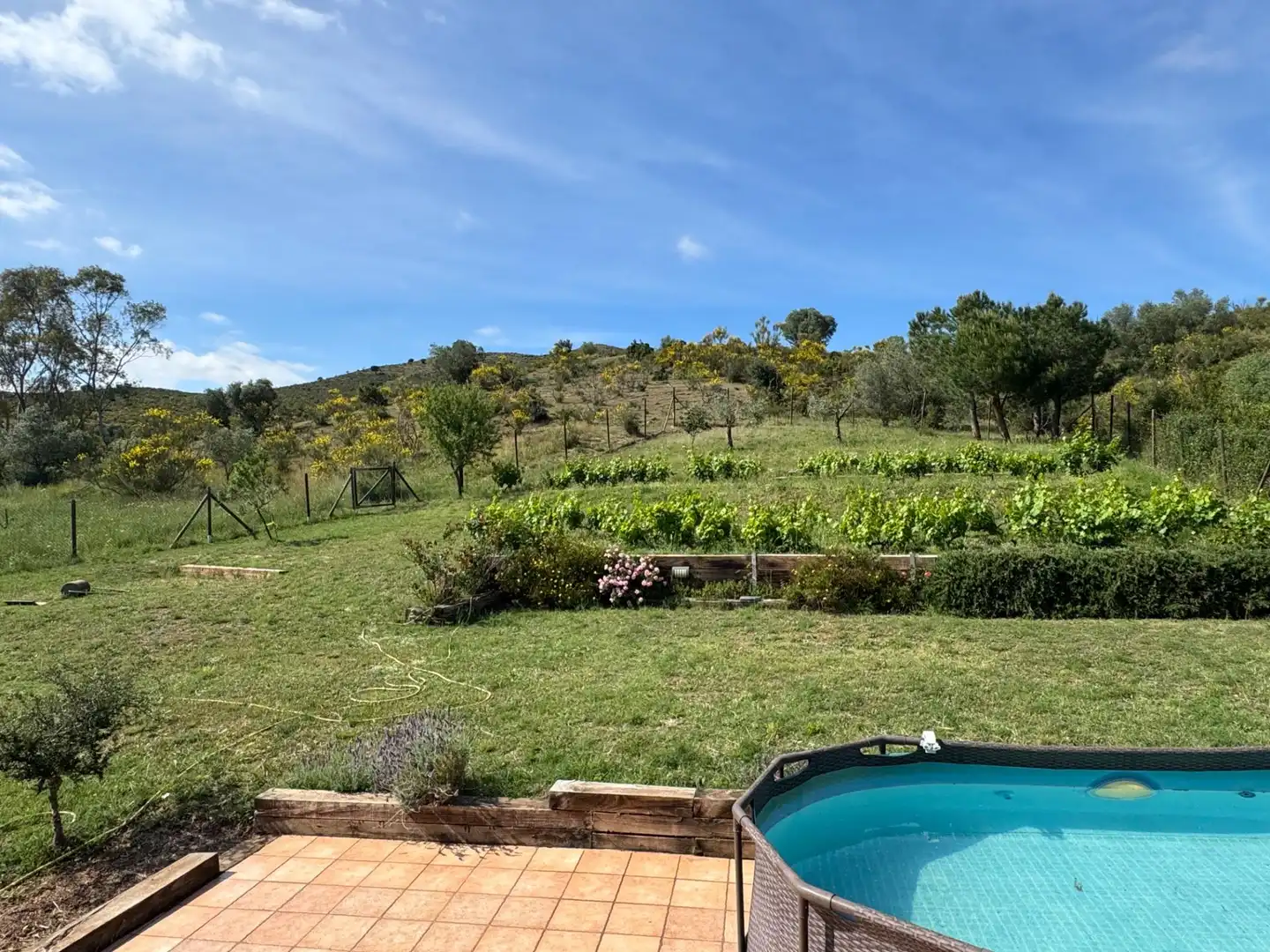 Jardí de Casa o xalet en venda en Llançà amb Aire condicionat, Calefacció i Jardí privat