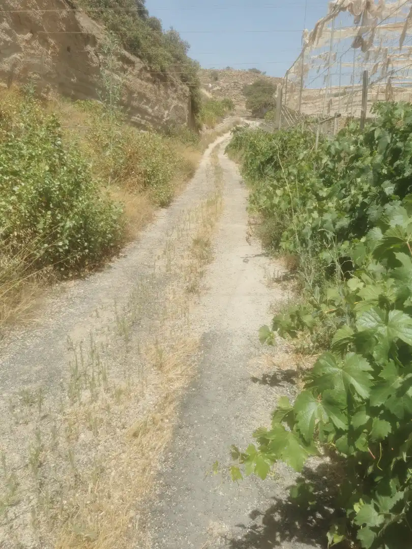 Terreny en venda en Granadilla de Abona