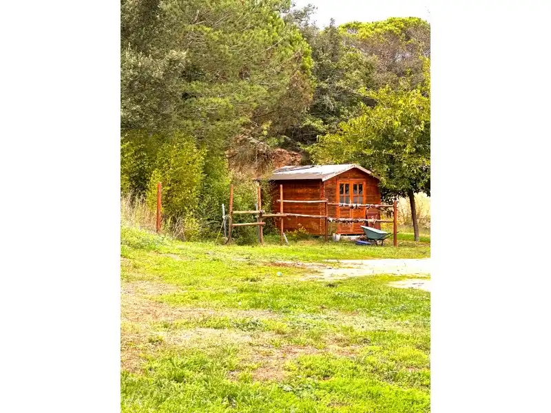 Casa in vendita a Montbarbat, imagen 25