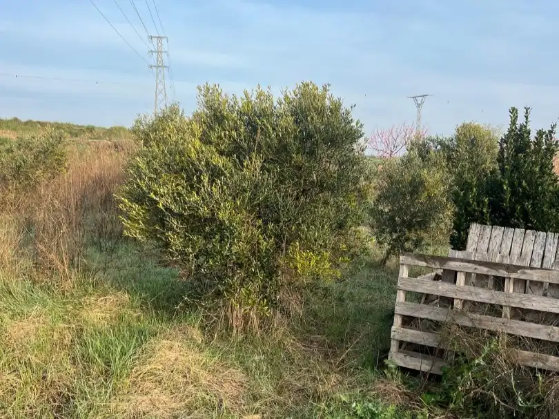 Terreno en venta en Figueruelas