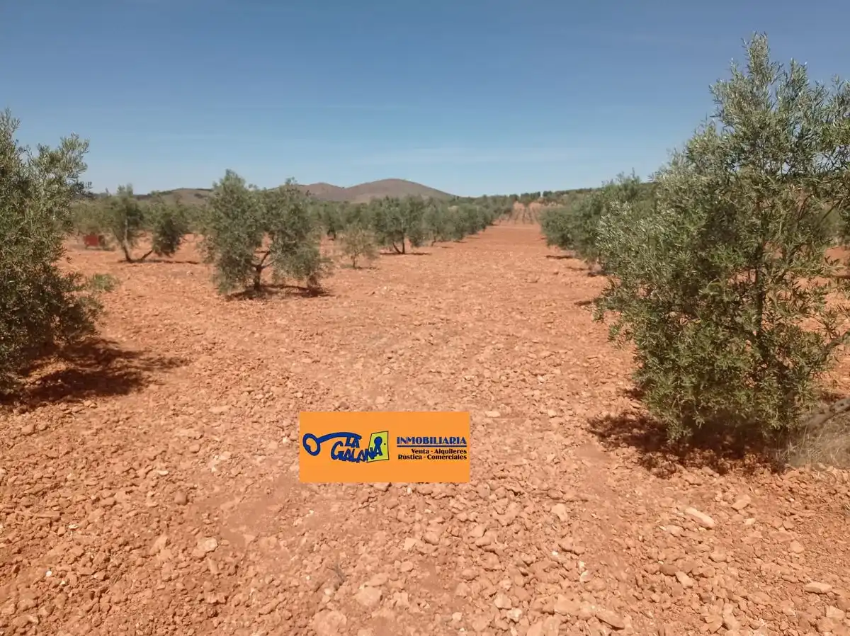Finca rústica en venda en Torrenueva