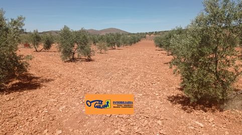 Finca Rúst. en venta en Carretera Santa Cruz., imatge 5