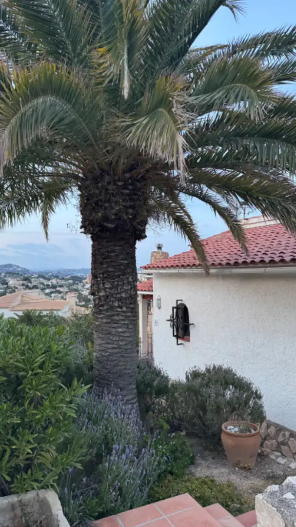 Maison avec piscine à vendre à Partida Maryvilla, imagen 6