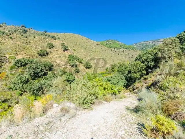 Terreni e lotti in vendita a Canillas de Albaida, imagen 5