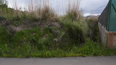 Foto 4 de Finca rústica en venda a Camino de las Algaidas, 22, Playa de Granada, Motril