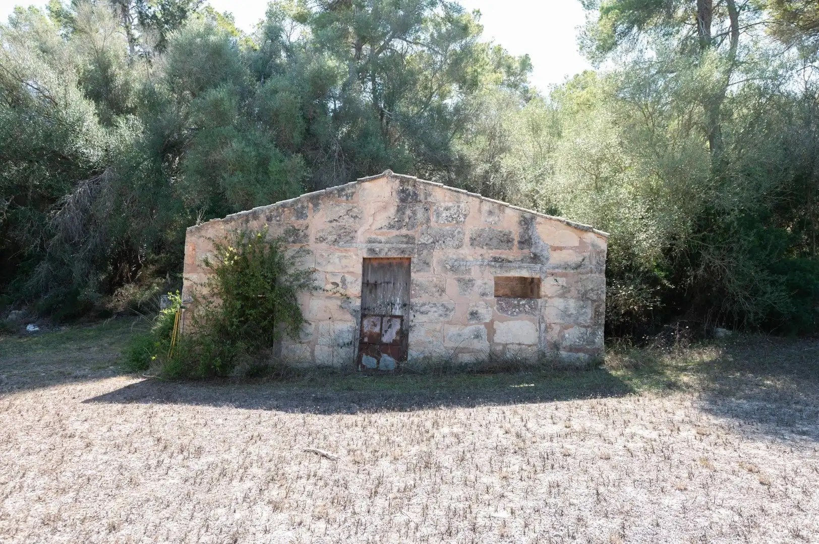 Casa rustica con terrazza in vendita a Sineu, imagen 59