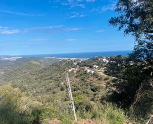 Vista exterior de Casa o xalet en venda en Pineda de Mar amb Jardí privat, Terrassa i Balcó