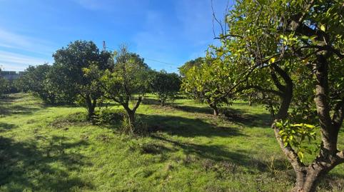 Photo 2 of Residential for sale in Urbanizacion Urbanización Pulpejas I , Loreto, Sevilla