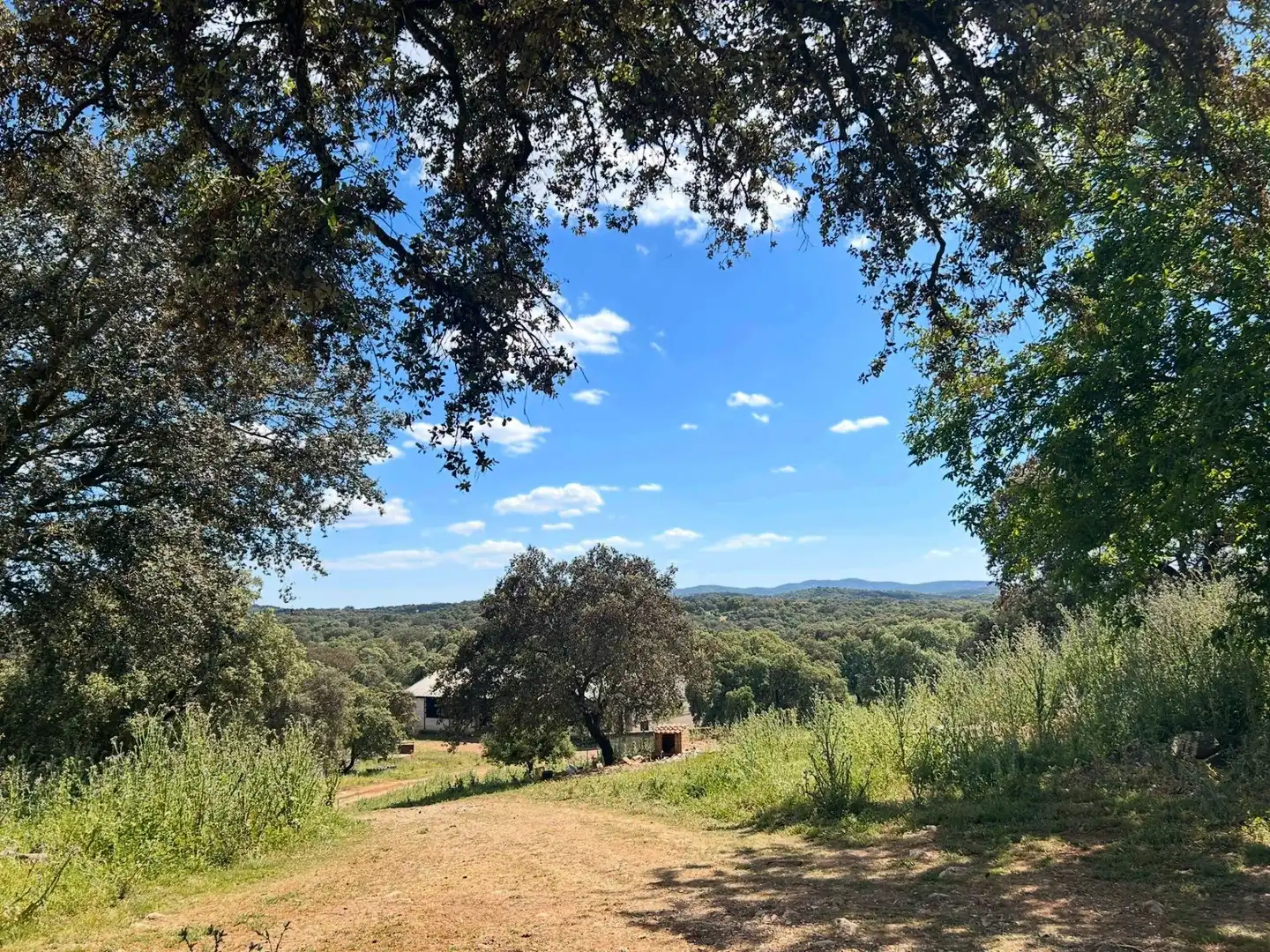 Finca rústica en venta en Alanís