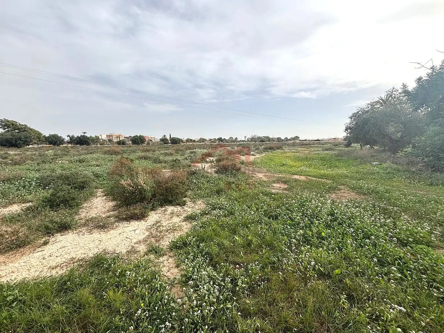 Grundstücke zur Miete in Elche / Elx