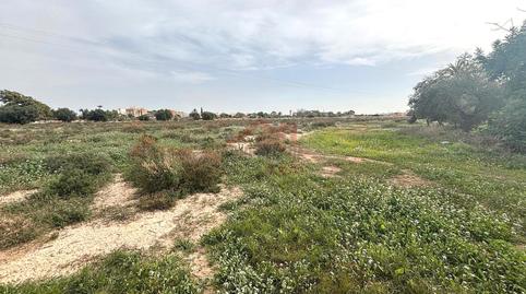 Foto 3 von Grundstücke zur Miete in El Altet, Elche / Elx